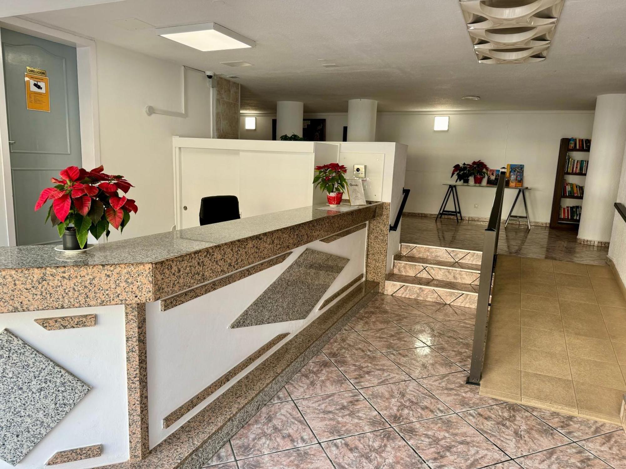 Olympia Palmalicious Apartment Playa de las Americas  Exterior foto